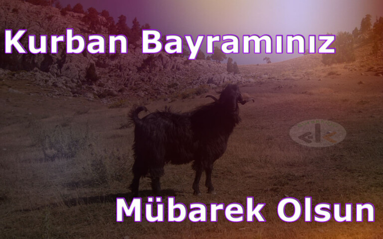 Kurban Bayramınız Mübarek Olsun!