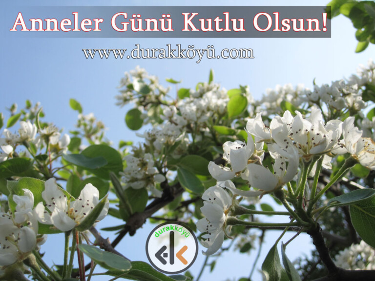 Anneler Günü Kutlu Olsun