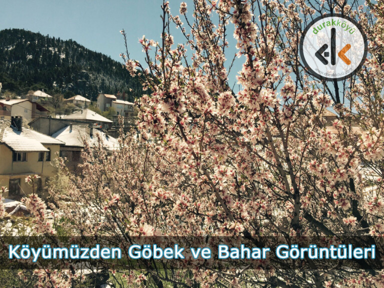 Köyümüzden Göbek ve Bahar Görüntüleri
