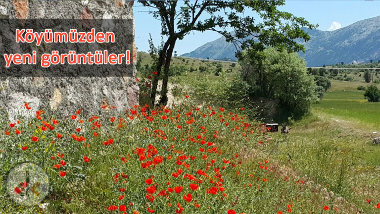Köyümüzden yeni görüntüler!