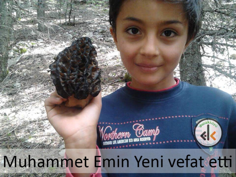 Muhammet Emin Yeni vefat etti