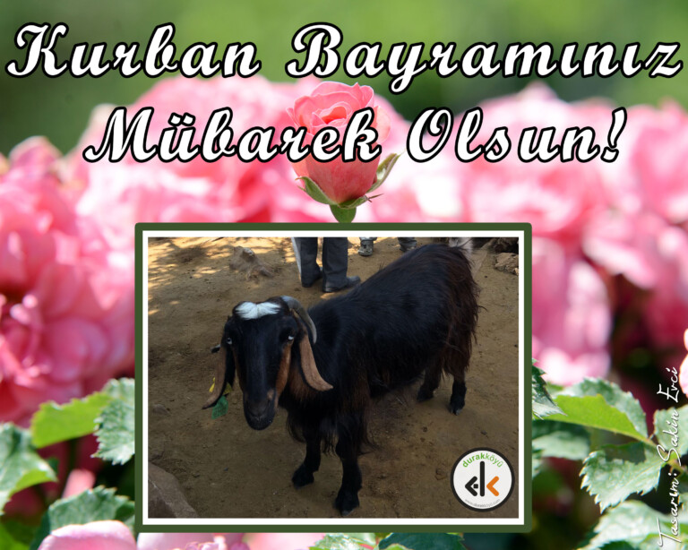 Kurban Bayramınız Mübarek Olsun
