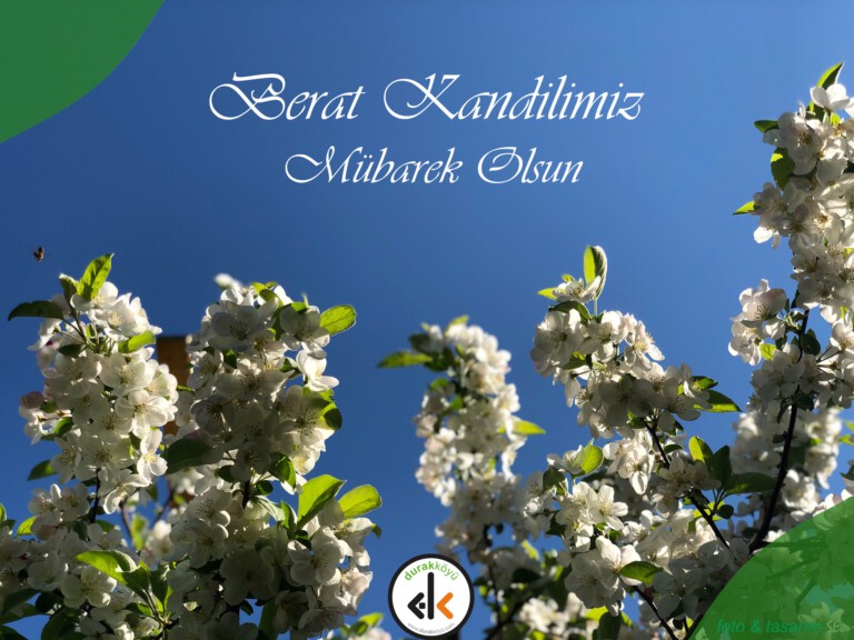 Berat Kandilimiz Mübarek Olsun