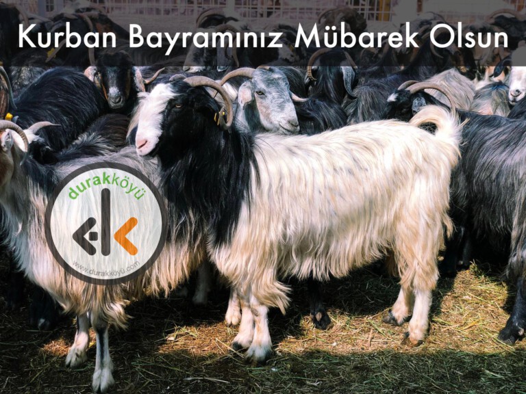 Kurban Bayramınız Mübarek Olsun