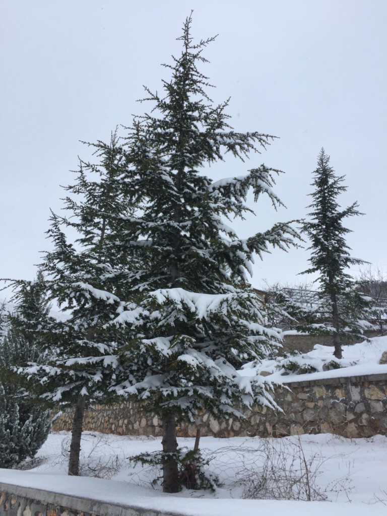 Beklenen kar sonunda köyümüzede geldi
